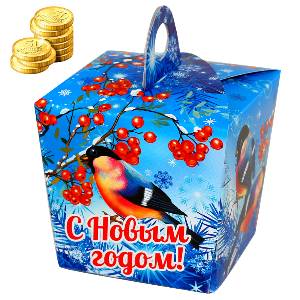 Детский подарок на Новый Год в картонной упаковке весом 300 грамм по цене 172 руб в Саратове